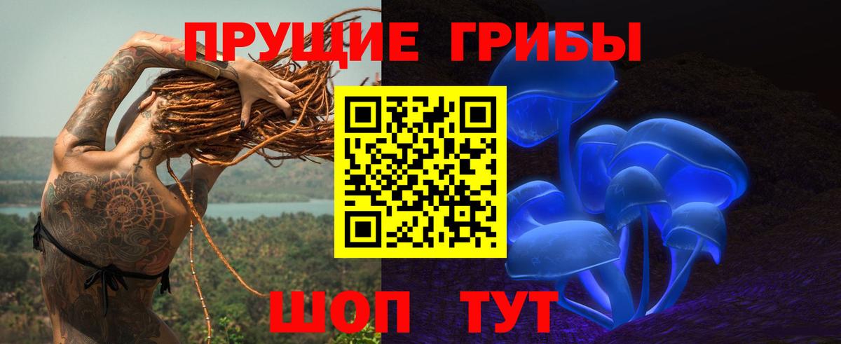 Кизляр  Галлюциногенные грибы мухоморы  Вход с VPN 