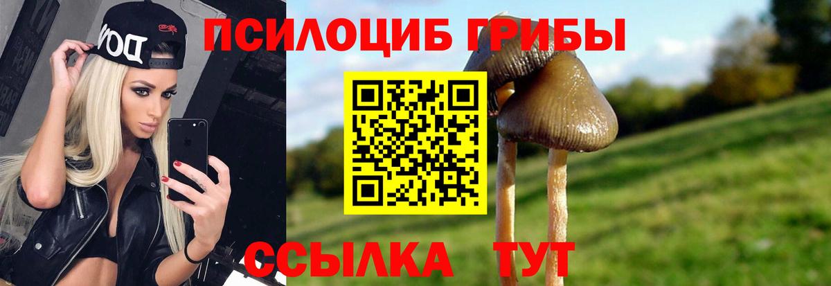 Галлюциногенные грибы MAGIC MUSHROOMS Кизляр